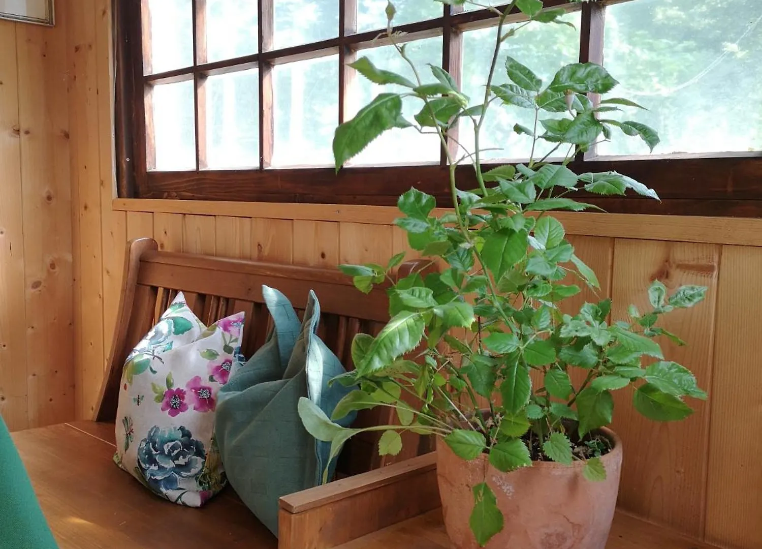 Ferienwohnung Schmidt - Natur Und Ruhe Schwaigen Apartment